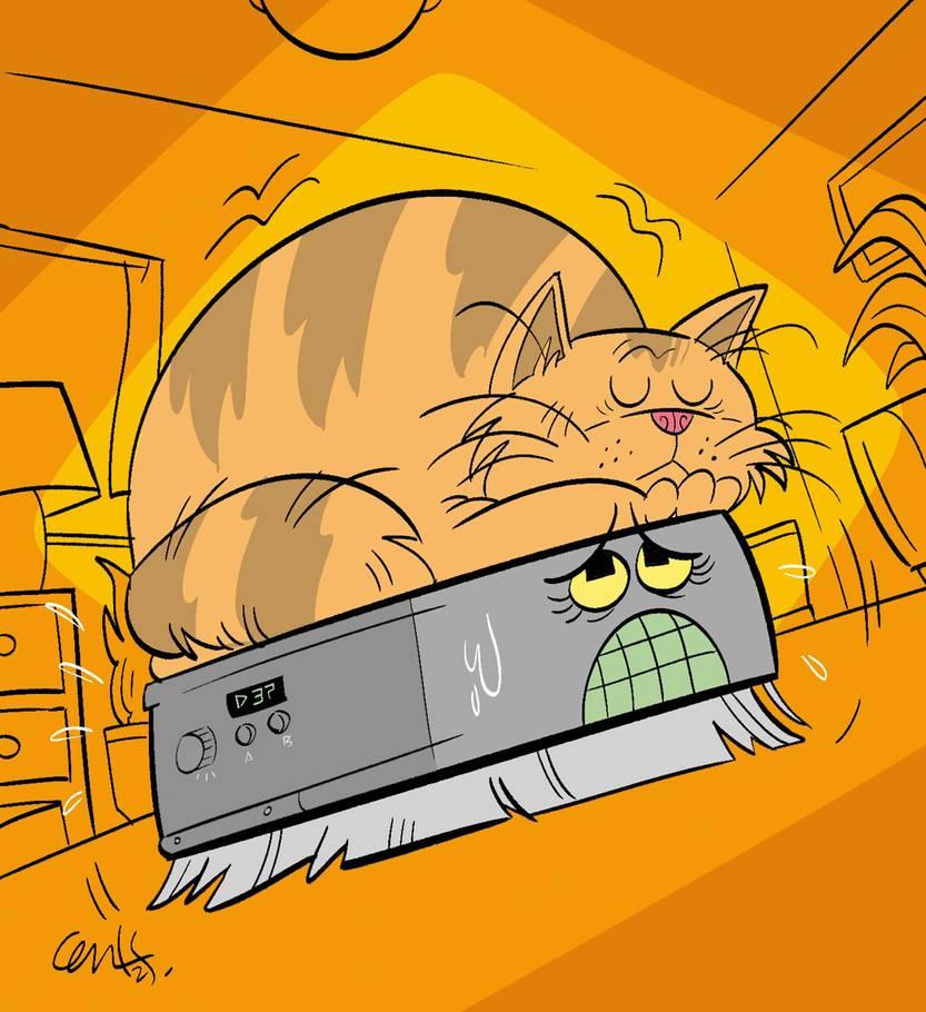 Nuevos sujetos de derecho