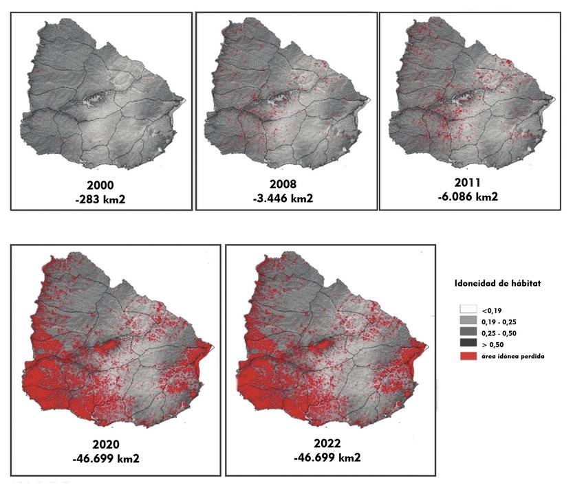 20241003 mapa
