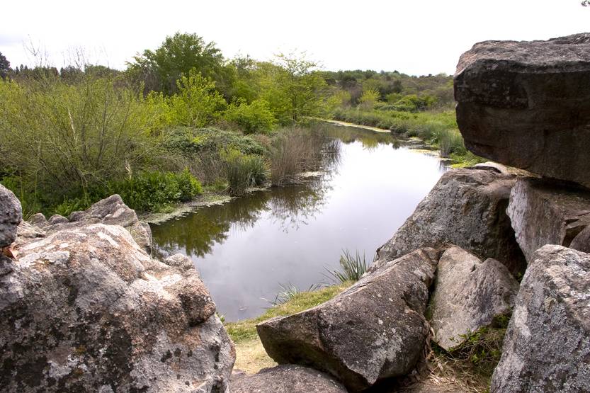 Lento 117 - Monte y parrilleros