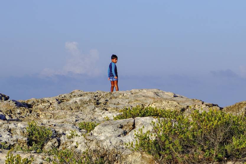 Lento 149 - Generación de cristal