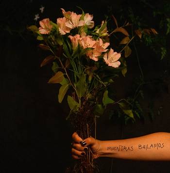 Foto principal del artículo 'La poética de la demora de Adriana Hernández'