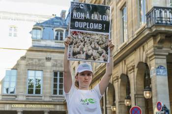 Una manifestante frente al Consejo Constitucional a la espera de una decisión sobre la ley Duplomb, el 7 de agosto, en París. · Foto: Thomas Samson, AFP