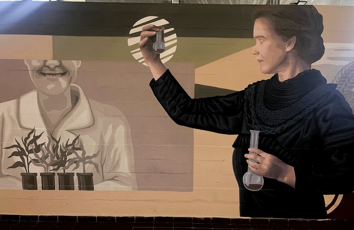 Mural en Facultad de Ciencias. · Foto: Marina Zanatta