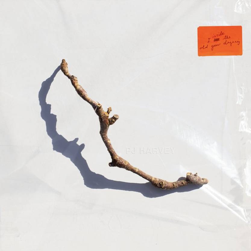 29 20230708 PJ Harvey