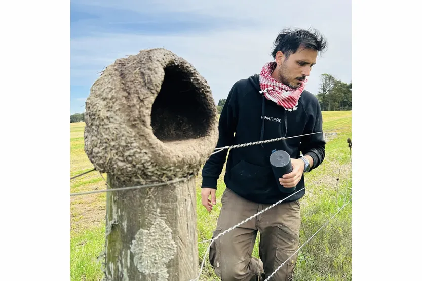 20260417 ciencia hornero 03