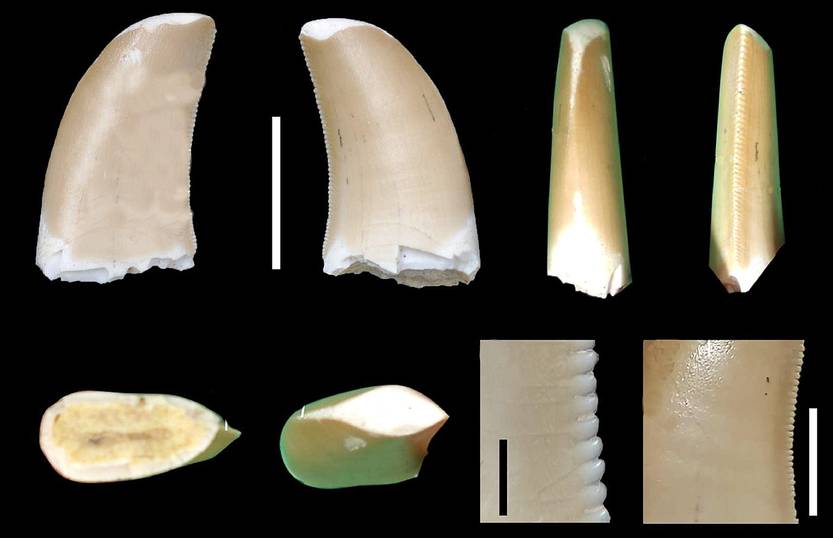 20251101 cie p14-15f2