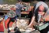 10-11 20221228 pesca artesanal