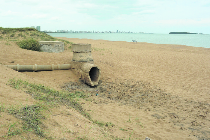 Parada 31 de la playa Mansa, Punta del Este (archivo, noviembre de 2024). · Foto: Virginia Martínez  Díaz