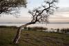 20230527 P14 -15 RIO DE LA PLATA