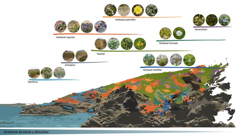 20260112 p16-17f3 cie