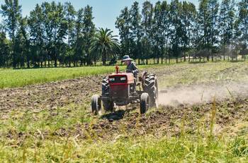 Siembra de maíz en Colonia. · Foto: Ignacio Dotti