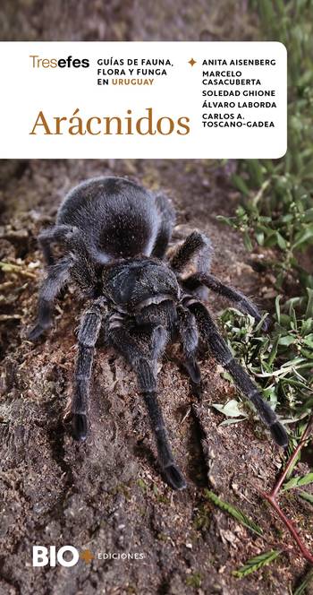 Foto principal del artículo 'Maracanazo natural: la guía Arácnidos y el libro Naturaleza extravagante marcan el gran debut de la editorial Bio+'
