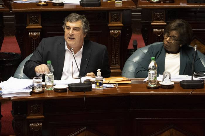 Sergio Botana, y Gloria Rodríguez, en el Senado. (archivo, julio de 2020) · Foto: Mariana Greif