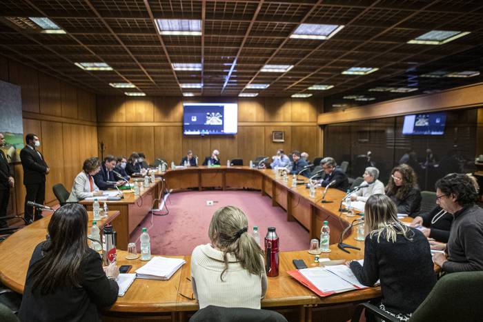 Comisión de Derechos Humanos, en el Parlamento (archivo, junio de 2022). · Foto: .