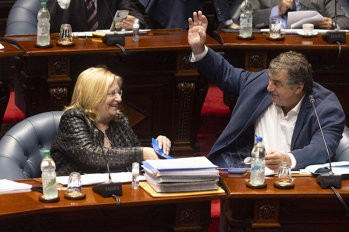 Graciela Bianchi y Sergio Botana en el Senado (archivo, abril de 2024). · Foto: Ernesto Ryan