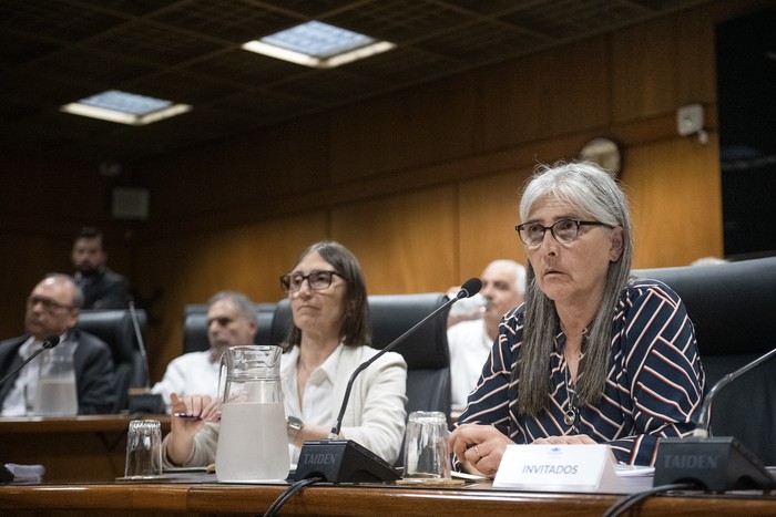 Lucía Etcheverry (D), el 11 de diciembre, en la Comisión de transporte, comunicaciones y obras públicas. · Foto: Gianni Schiaffarino