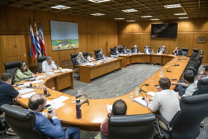 Comisión Especial de Lavado de Activos de la Cámara de Diputados, el 8 de diciembre. · Foto: Gianni Schiaffarino
