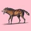 Gigantes 23 paleodetectives
