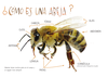 15.17 20221227 ciencia 5 ok