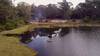 Parque Roosevelt 1 2022-07-04 at 1.33.36 PM