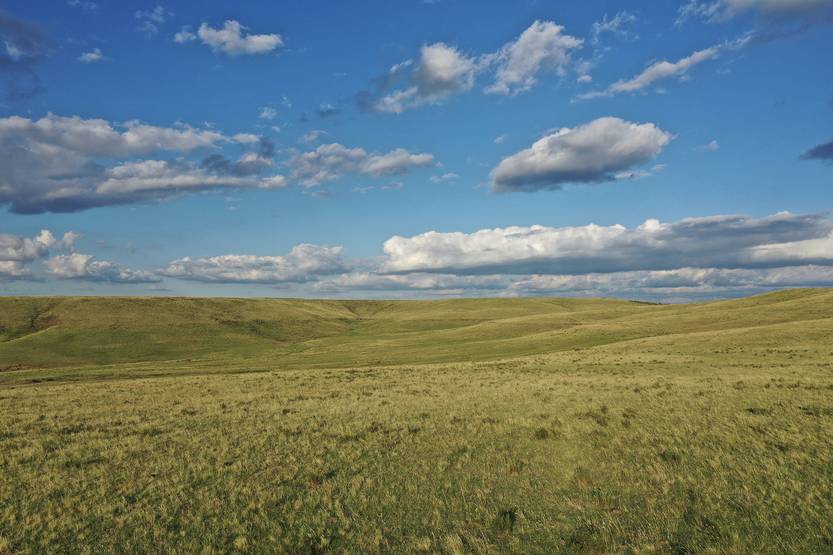 20251025 Ciencia pastizales