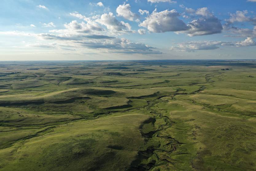 20251025 Ciencia pastizales 6