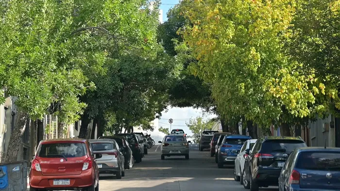 Ciudad de Paysandú. · Foto: Intendencia de Paysandú
