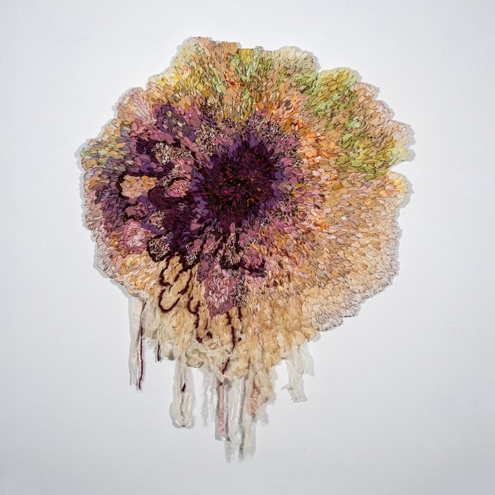 Foto principal del artículo 'Líquenes entretejidos: artista textil uruguaya fue premiada en Florencia'