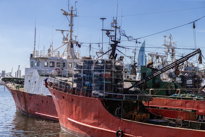 Barcos pesqueros en el puerto de Montevideo (archivo). · Foto: Ernesto Ryan