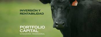 Portfolio Capital (publicidad).