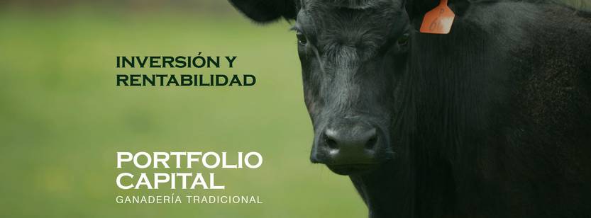 Portfolio Capital 7112713436382_n