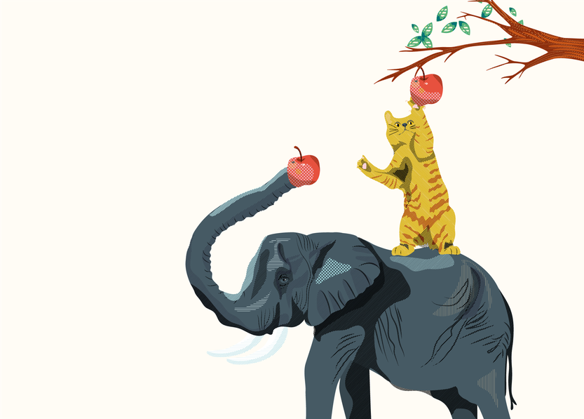 ilustración presupuesto participativo