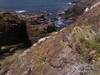 20231106 punta ballena 04