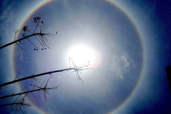 20230809 sol