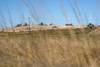 20230112  interbalnearia