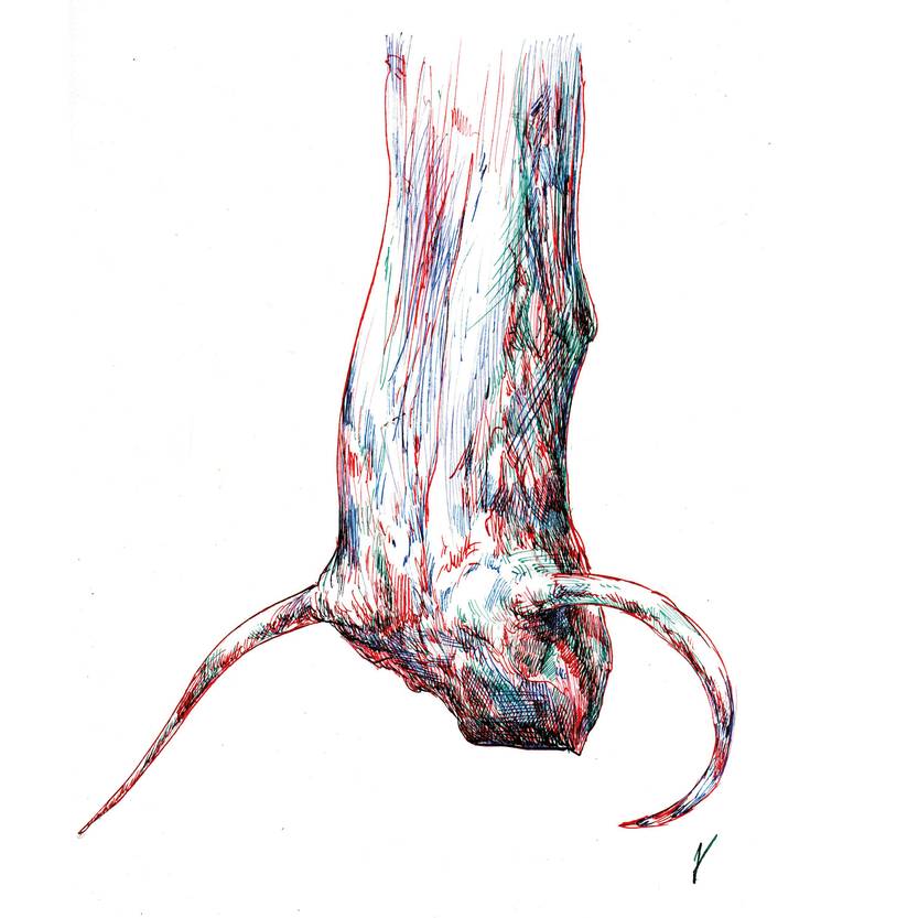 Postales desde el filo