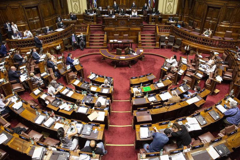 20250528 diputados