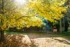 otoño RS101106_20210520_ID_008