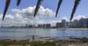 20220107 punta del este