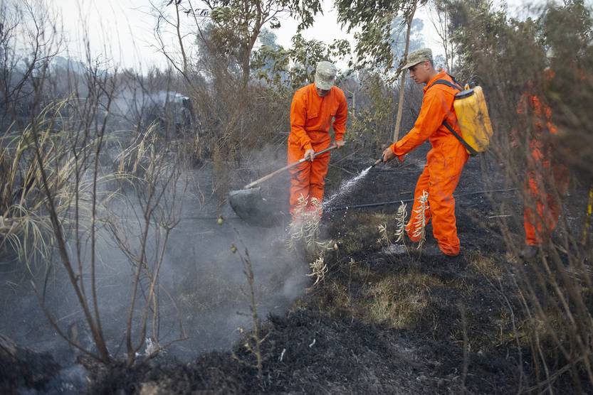 20220115 incendios