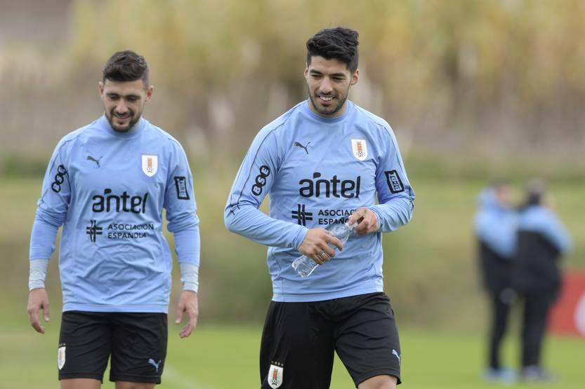 20231113 suárez
