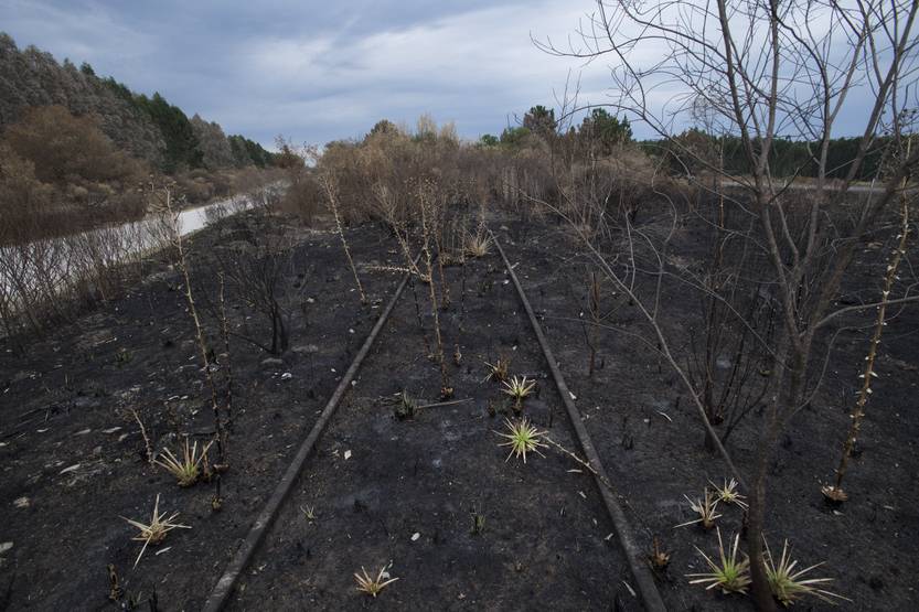 20230107  incendio algorta