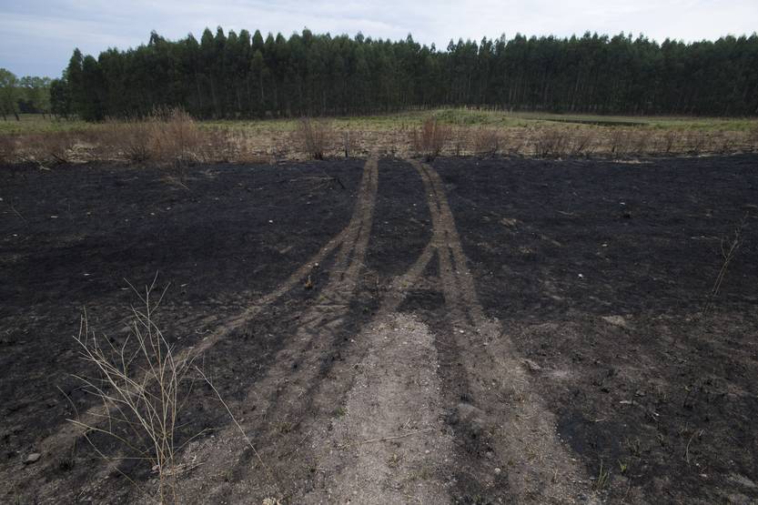20230104 incendios