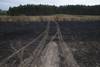 20230104 incendios