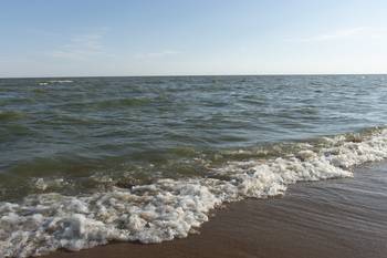 Río de la Plata (archivo, enero de 2022). · Foto: Ignacio Dotti