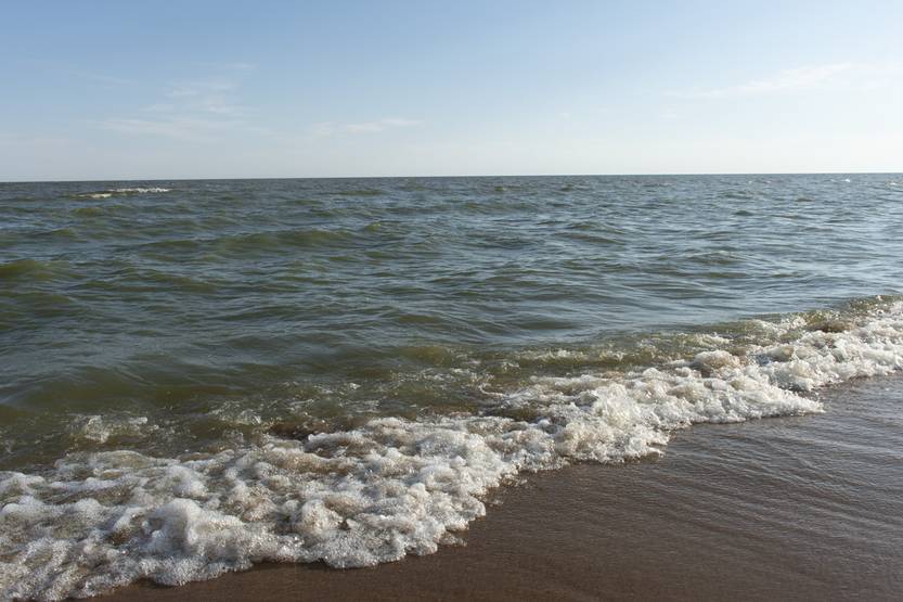 20251218 col rio de la plata