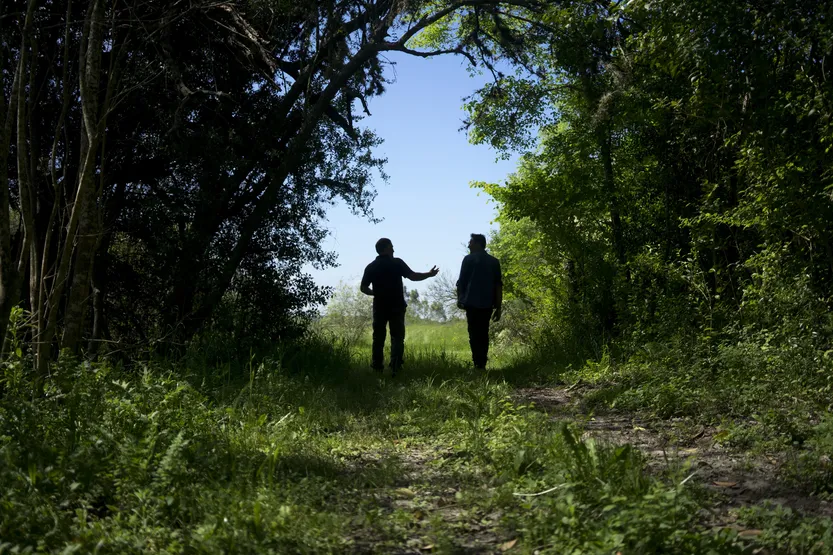 20260101 AGROPECUARIA INVESTIGACION (A.Pizzolón) f3