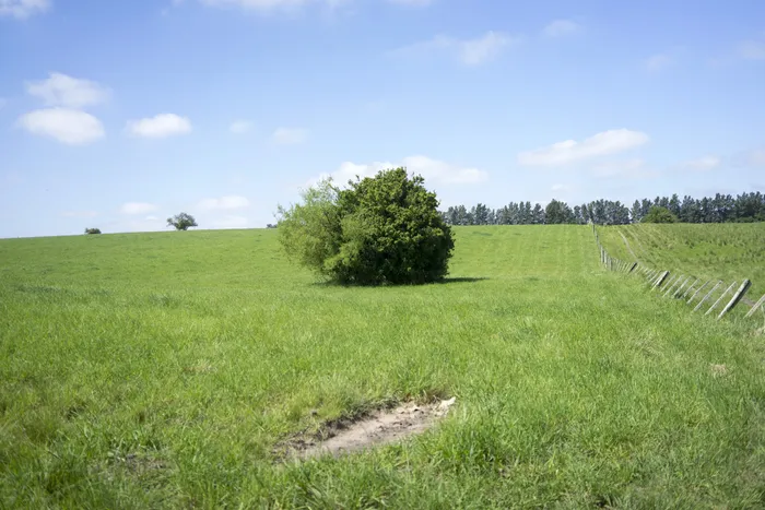 Estación Experimental Las Brujas, INIA. 
Foto: Mariana Greif (archivo, octubre de 2019)