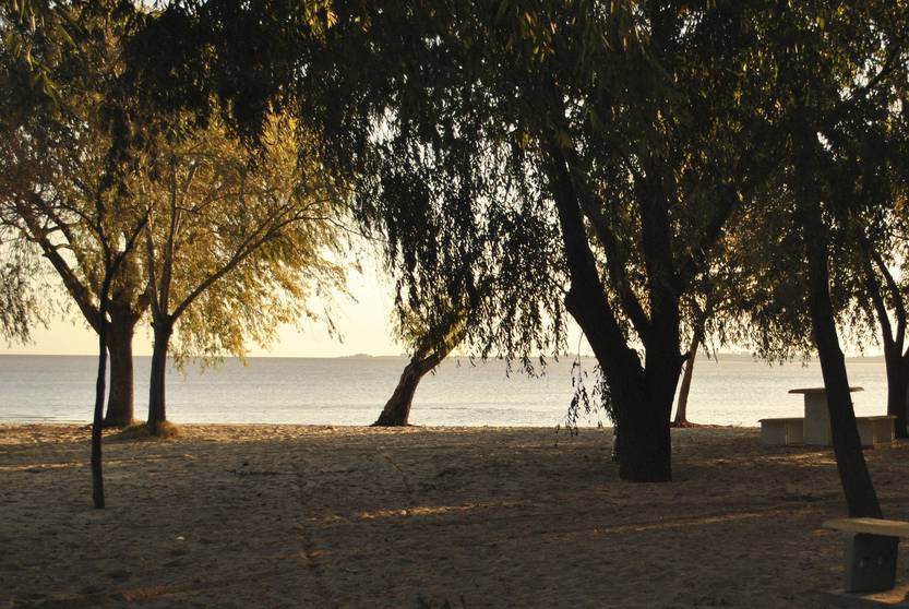 20221209 playa verde