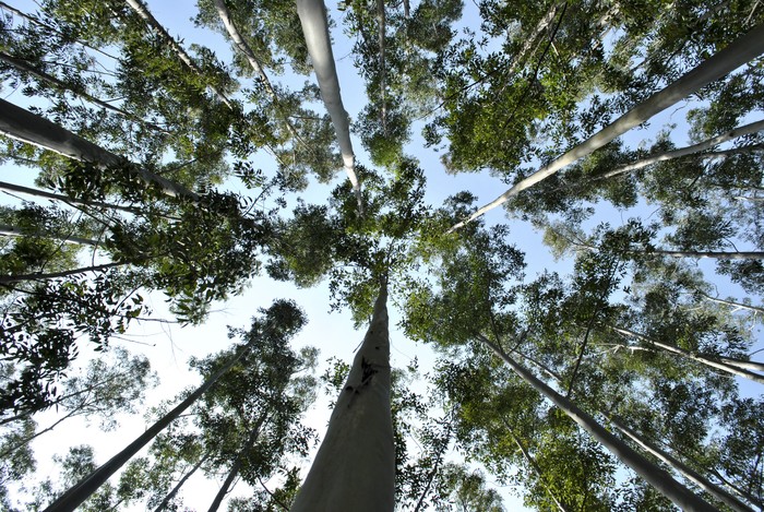 Foto: Ignacio Dotti (archivo).